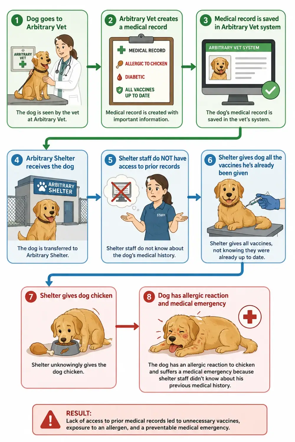 Without integrated records: the dog's known chicken allergy and up-to-date vaccines are invisible to the shelter, leading to a redundant vaccine and an allergic reaction.
