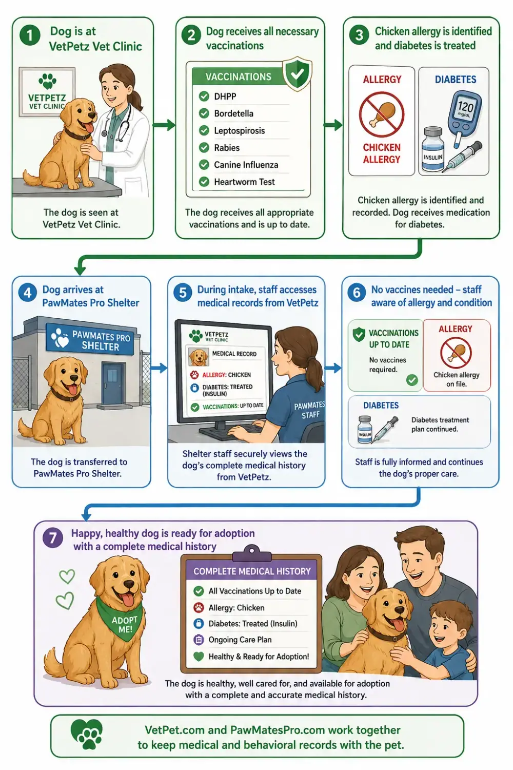 With VetPetz + PawMates Pro: the dog's complete vaccination, allergy, and diabetes-treatment record flows from the vet clinic into the shelter — and onto the adopter's PawMates account at finalization.